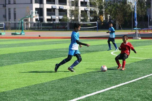 菲律宾主帅:赛前没做任何布置 只要求队员尽力